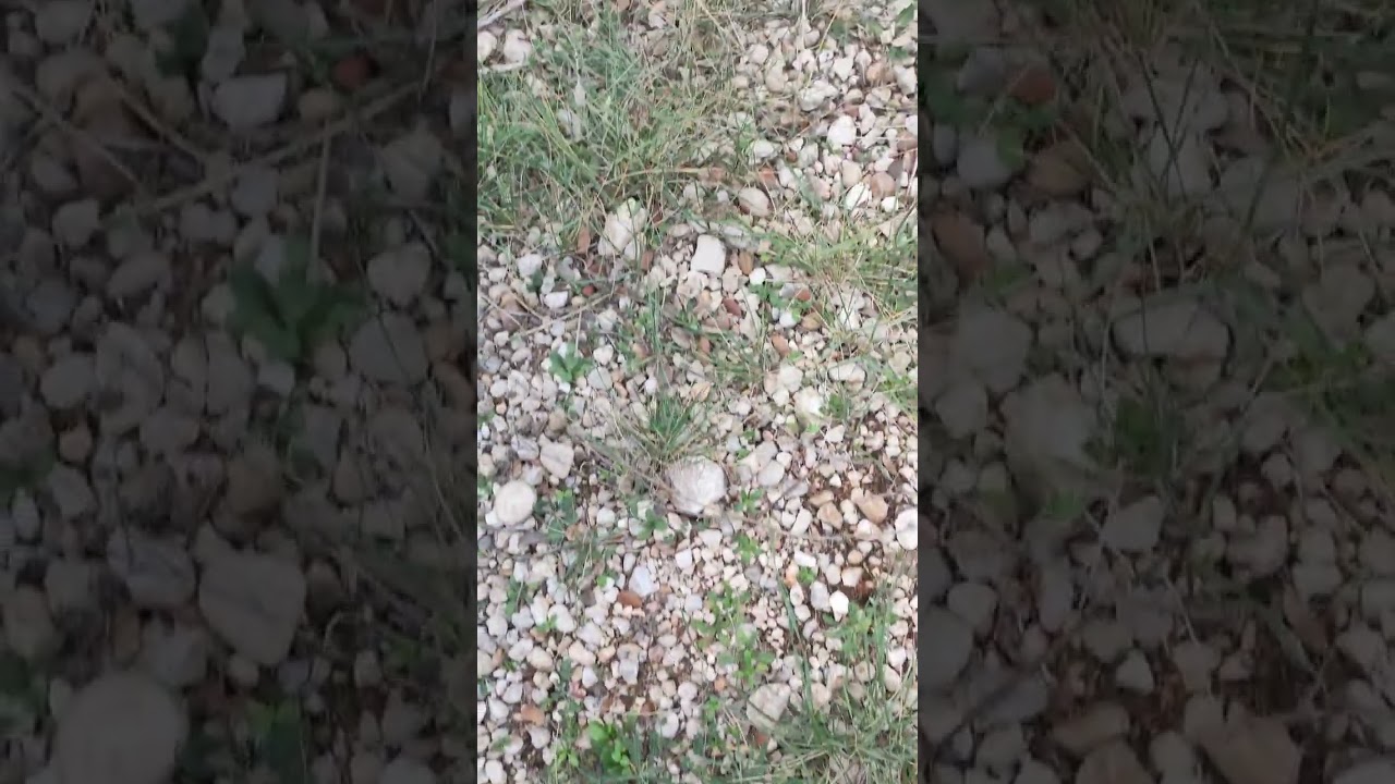 MI PEQUE&Ntilde;A ZONTES