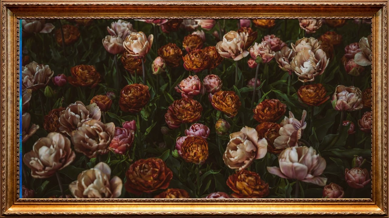 Flowers Luxury Art Vintage Oil Painting | Framed Art Aesthetics Screensaver for TV