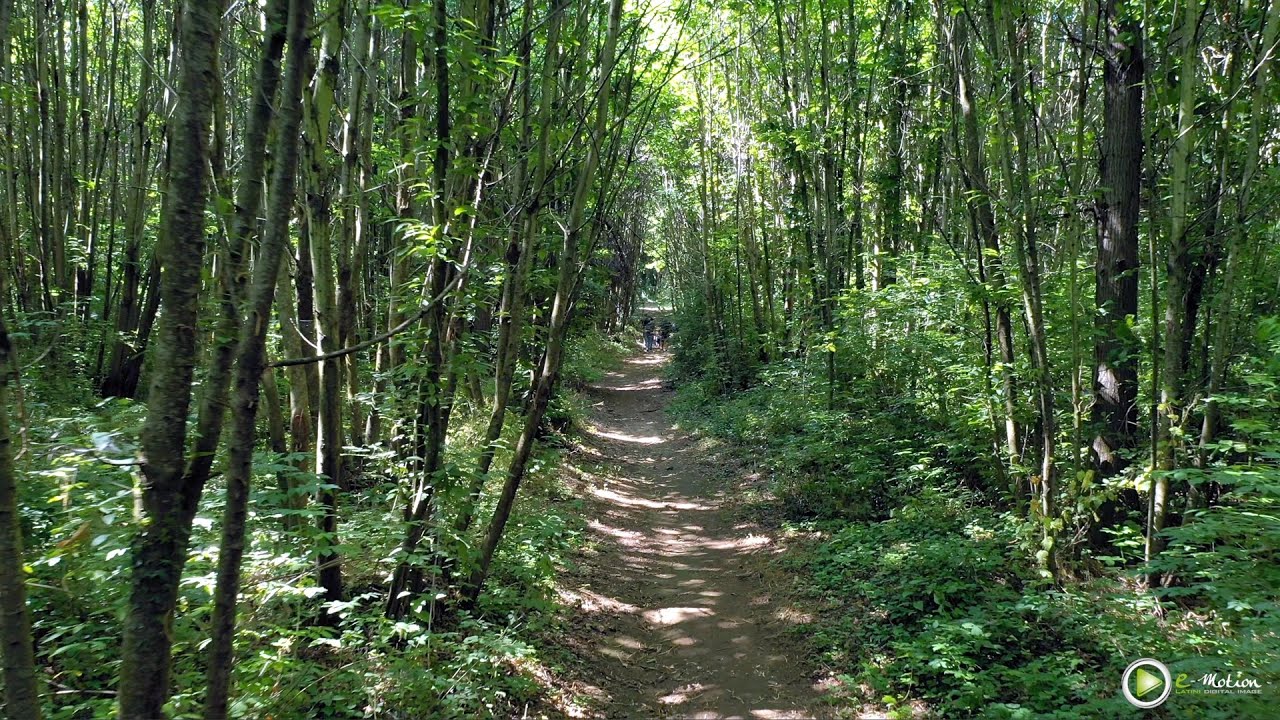 Il bosco dietro casa - Il parco della Macchiarella di San Cesareo