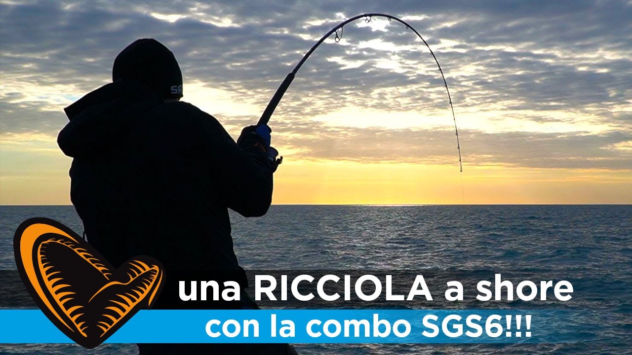 Non ci SPERAVO,ma alla fine è arrivata una bella RICCIOLA!