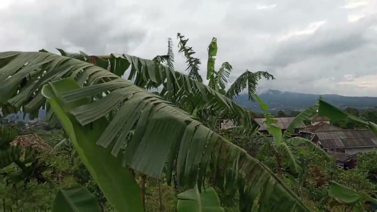 🚜 Lahan di Desa Dijual Murah, Udara Sejuk & Tenang