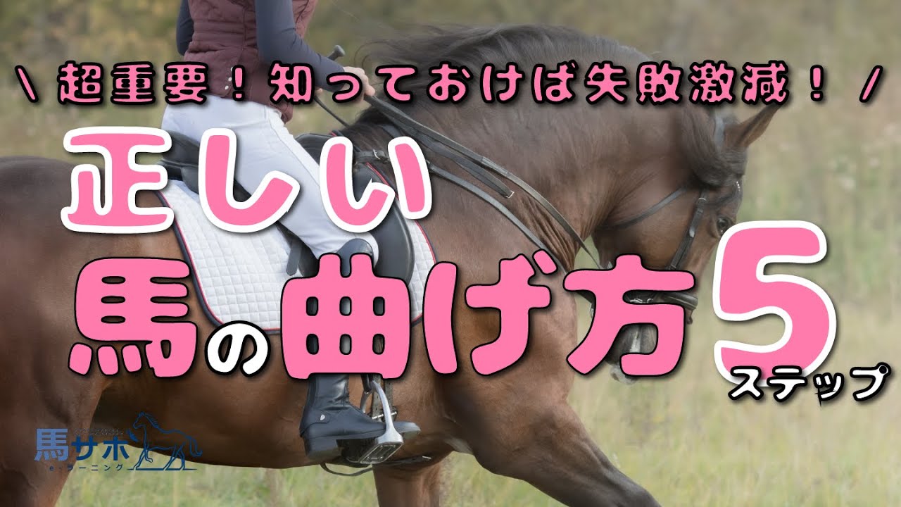 【超重要！知っておけば失敗が激減】正しい馬の曲げ方5ステップ