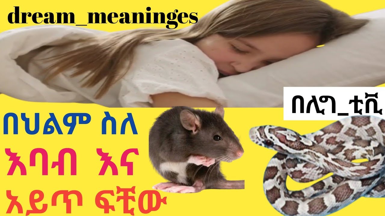 በህልም ስለ-አይጥ እና አይጥ ማየት ፍቺው   dream_meaninges snack & rats