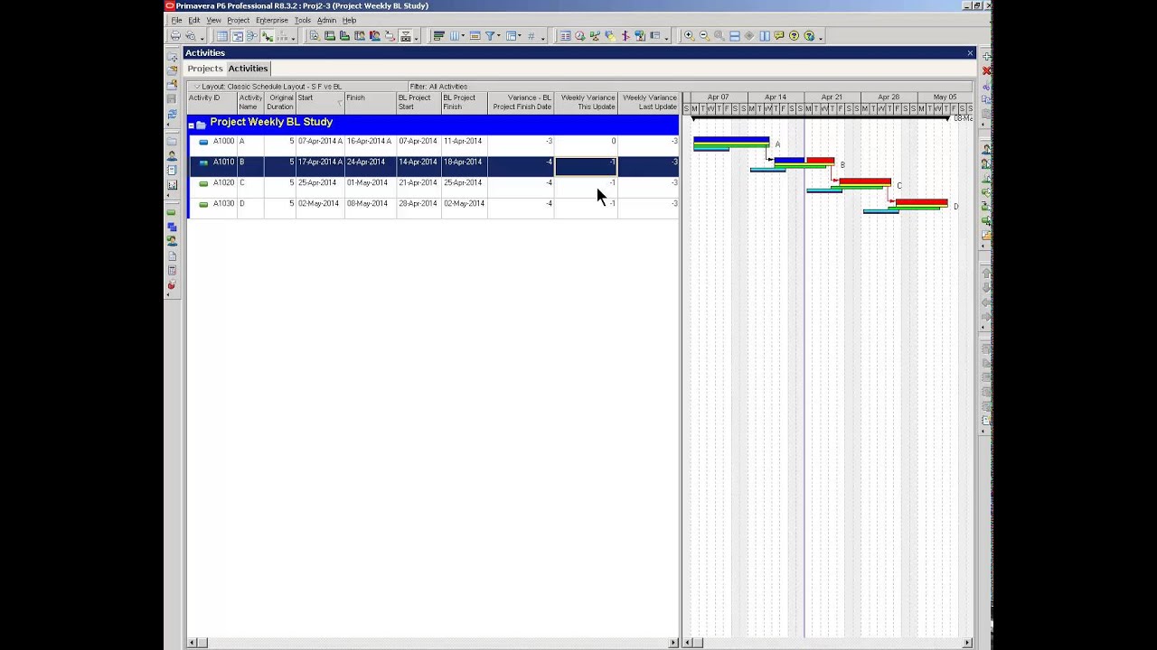 Primavera P6 Weekly updates, baselines, and variances.