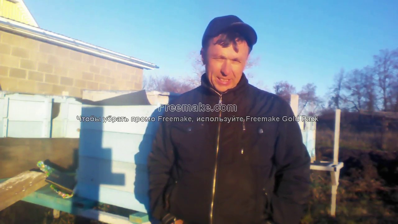 Немного о рогатых. О развитии и жизни пчёл в этих ульях.