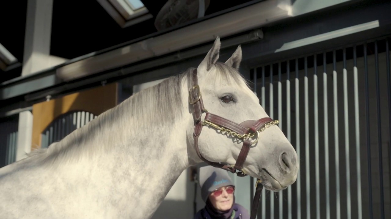 Frosted on the Aqua Treadmill at Jonabell Farm