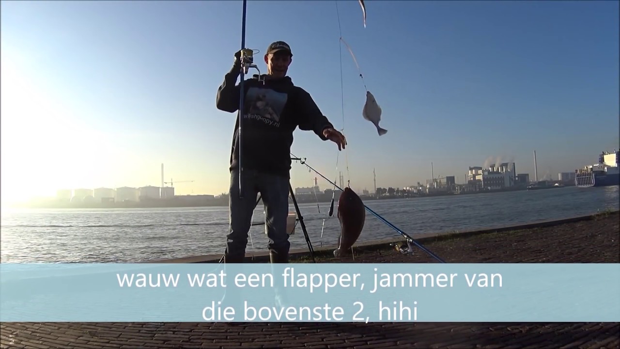 Fishguppy, op tong vissen, Vlaardingen Havenhoofd(Waterweg)