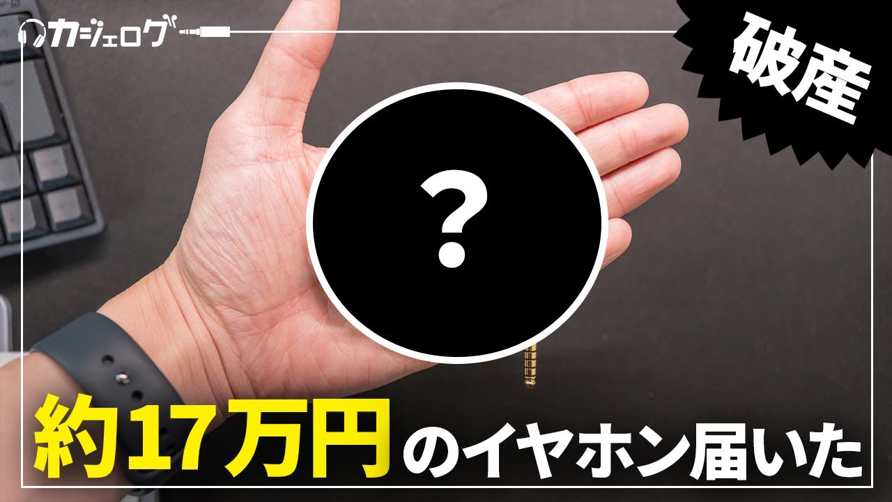 約17万円のイヤホンが届いた