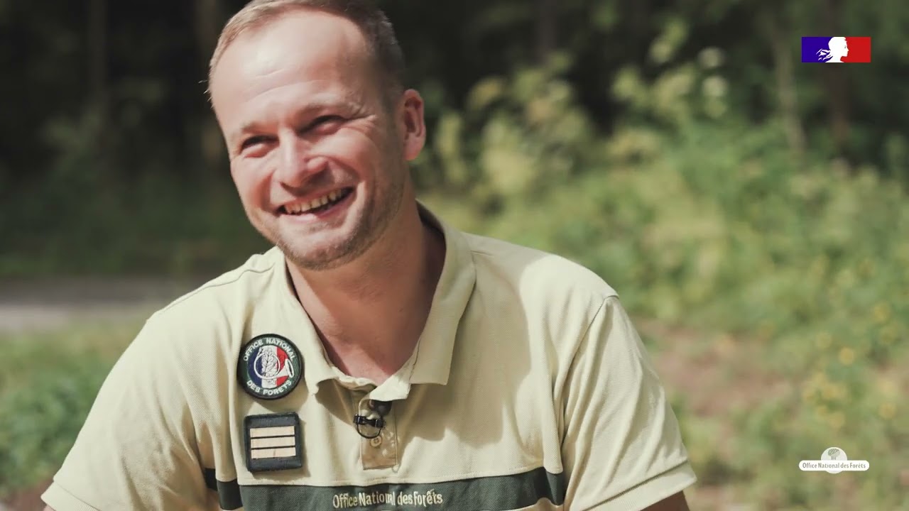 Inventaire des coléoptères en Savoie, au cœur de la biodiversité forestière !