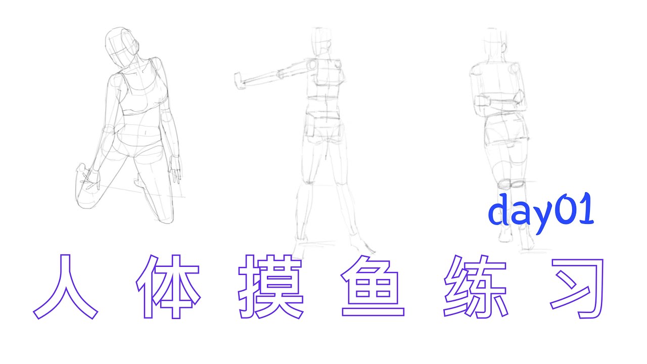 绘画练习视频 - 人体摸鱼练习 day1
