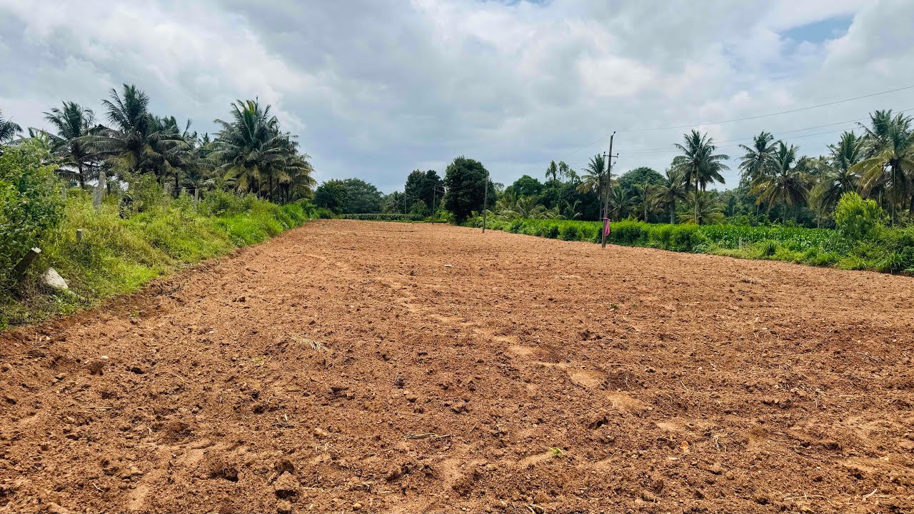 2 acres for sale near Hassan,Chikmagalur national highway 🌴