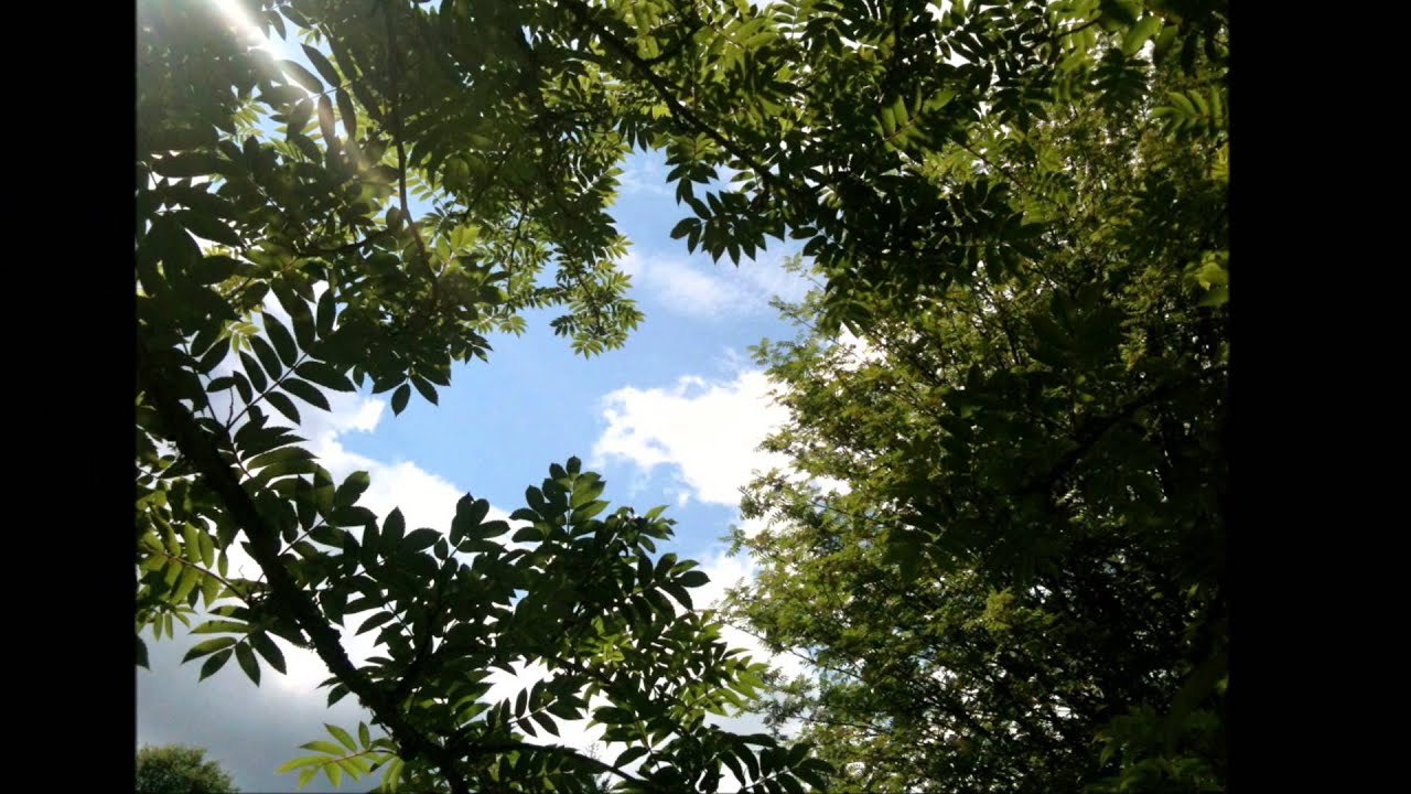 Nhớ em một ng&agrave;y nắng S&agrave;ig&ograve;n