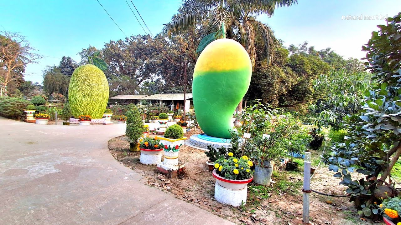 কাশিমপুরে কৃষির অভাবনীয় অগ্রগতি | Krishi_Nobayon 