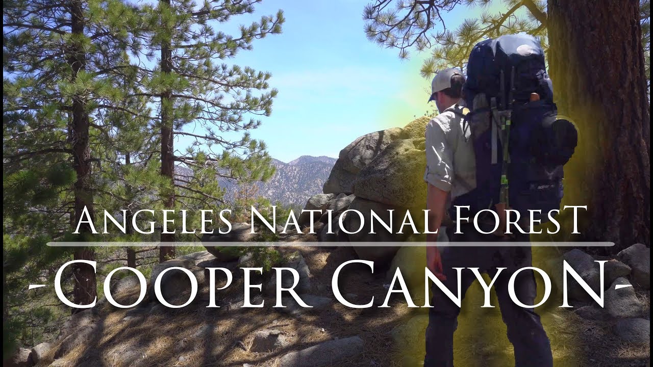 Cooper Canyon | Angeles National Forest Hiking and Backpacking near Los Angeles