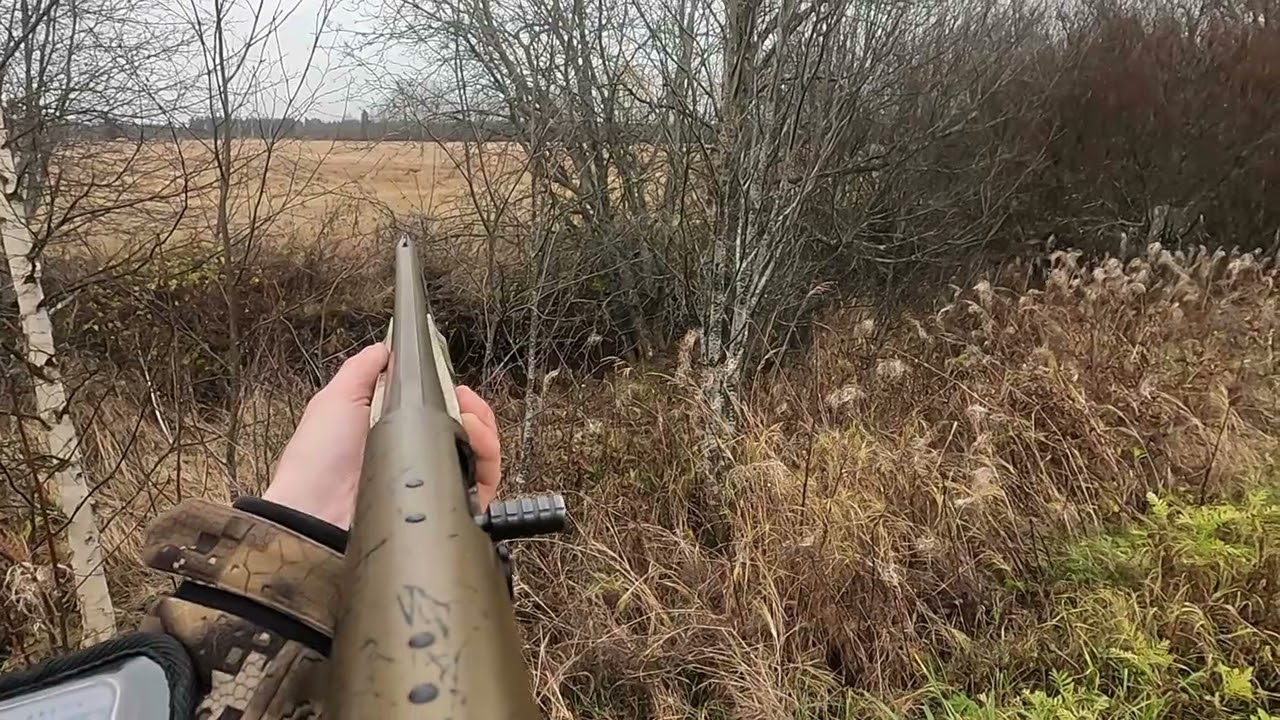 Ketunmetsästystä / Foxhunting 65