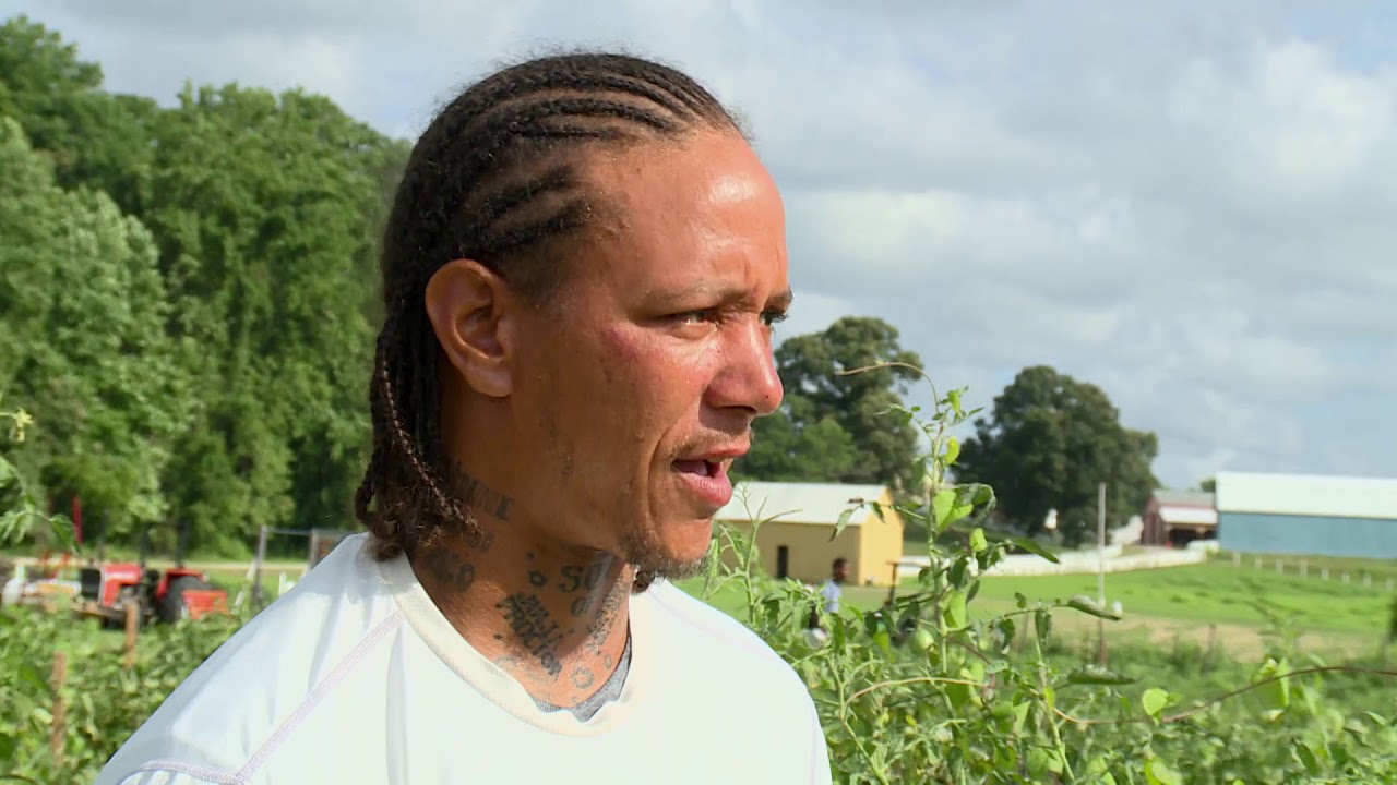 Maryland Farm & Harvest: Farming 4 Hunger