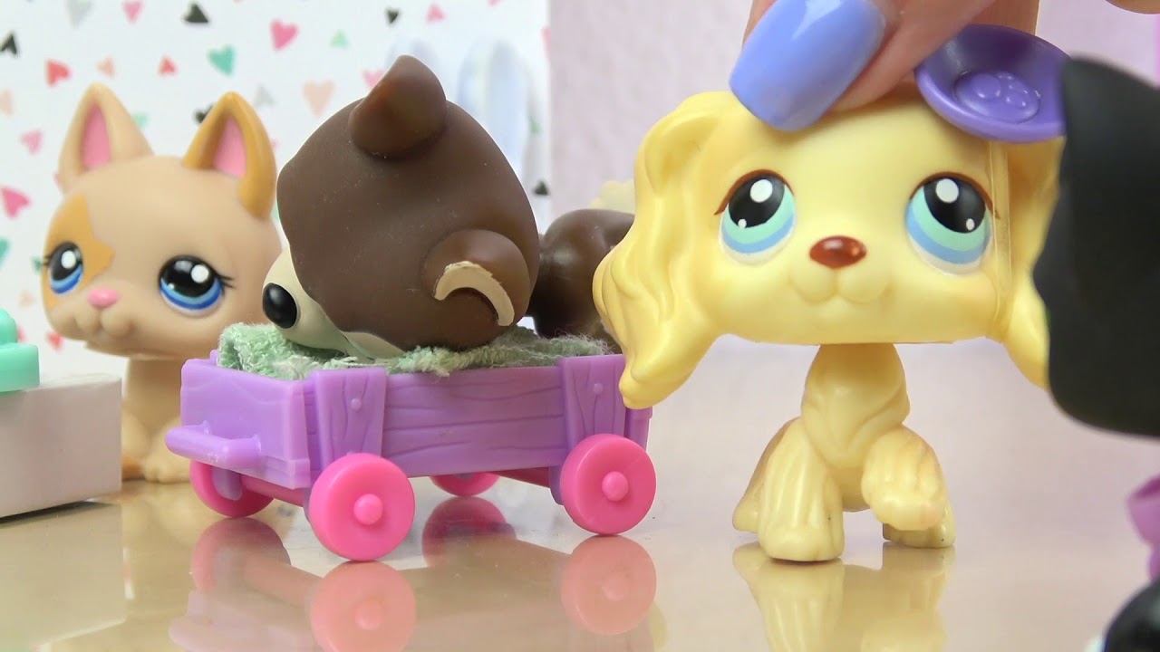 ❀ LPS: Behind the Scenes (Doctor Days)