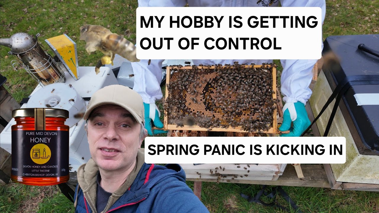 BASIC BEEKEEPING HIVE INSPECTIONS