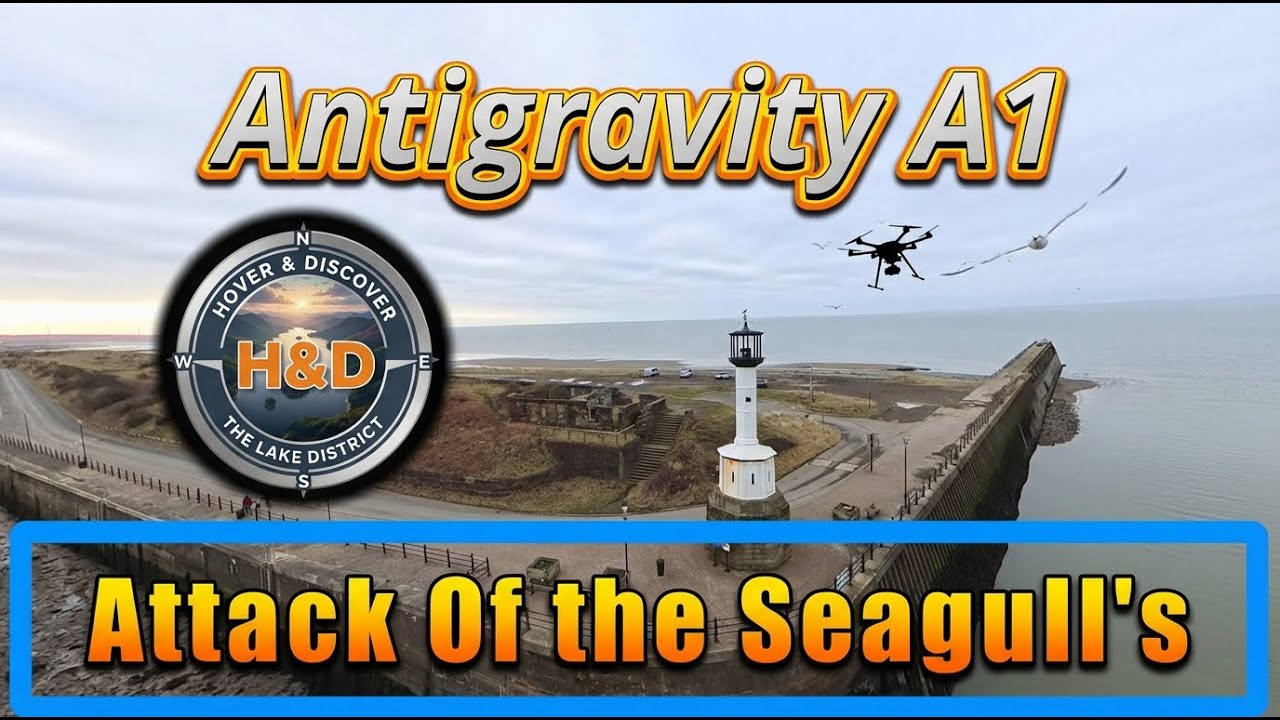 Antigravity A1 Drone vs Seagulls at Maryport Lighthouse