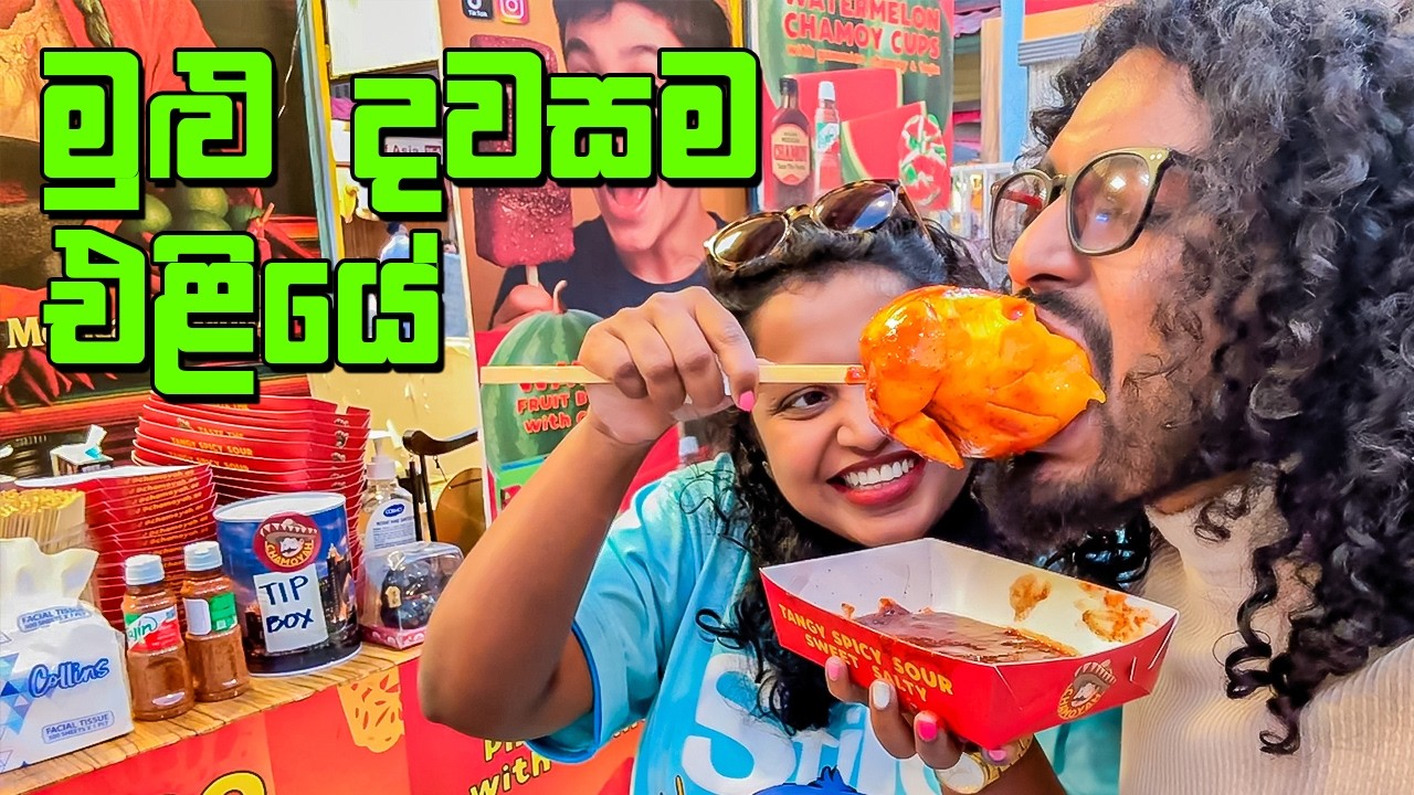 මෙච්චර දිග දවසක් තිබිලම නෑ  - VLOG 481