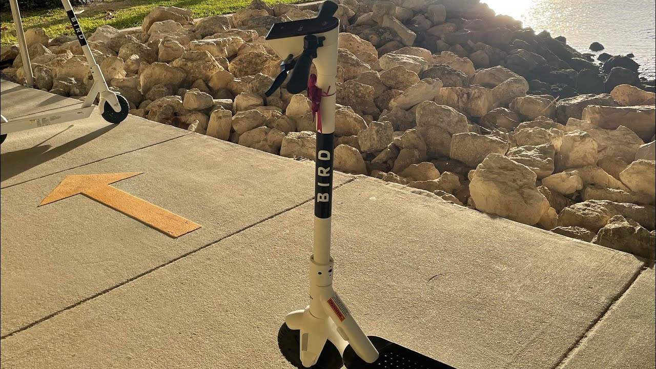 SAVE ON GAS! BIRD ONE ELECTRIC SCOOTER REVIEW