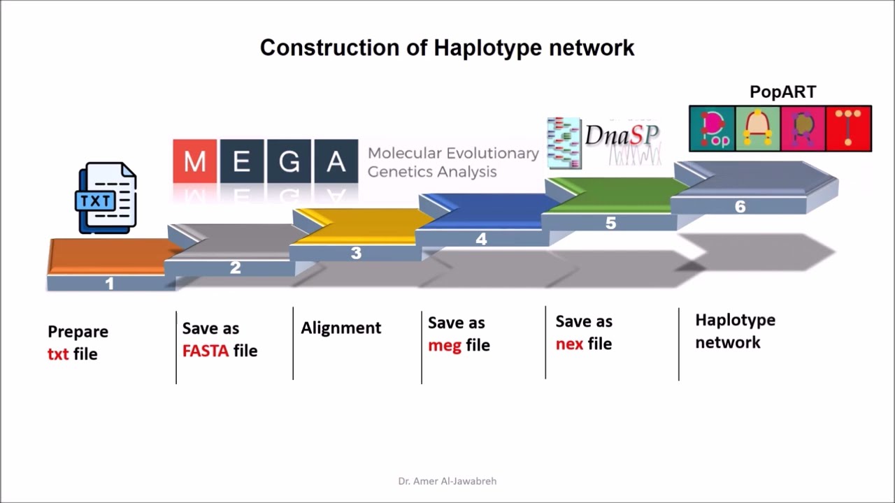 How to construct Haplotype Network by PopArt: SARS-CoV-2 as an example