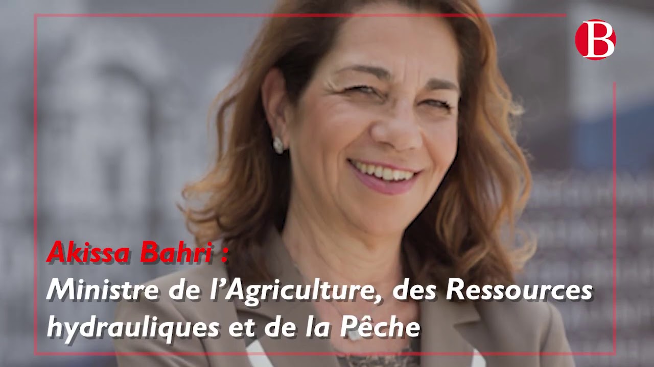 Composition du gouvernement Hichem Mechichi