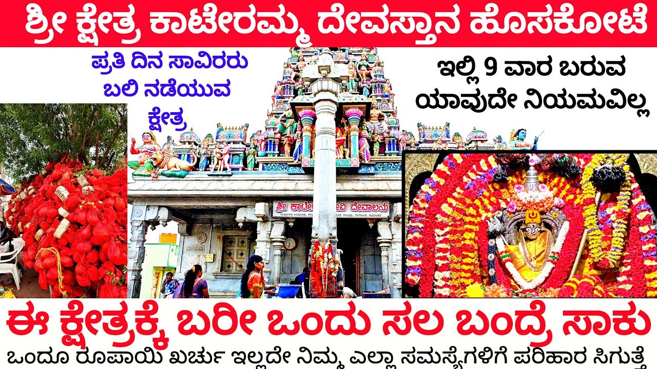 ಈ ಕ್ಷೇತ್ರಕ್ಕೆ ಮನೆಯಲ್ಲೇ ಹರಕೆ ಕಟ್ಟಿ ಸಾಕು  Kateramma temple in Hoskote @daivadarshanavlogs  #kateramma