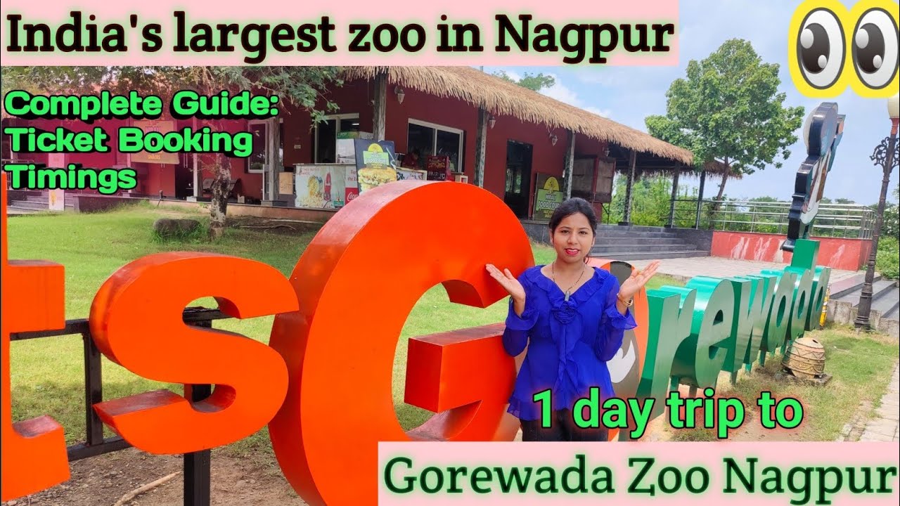 Gorewada Zoo Nagpur - India's Largest Zoo In Nagpur Entry Fees | Nagpur Zoo Gorewada, Jungle Safari😍