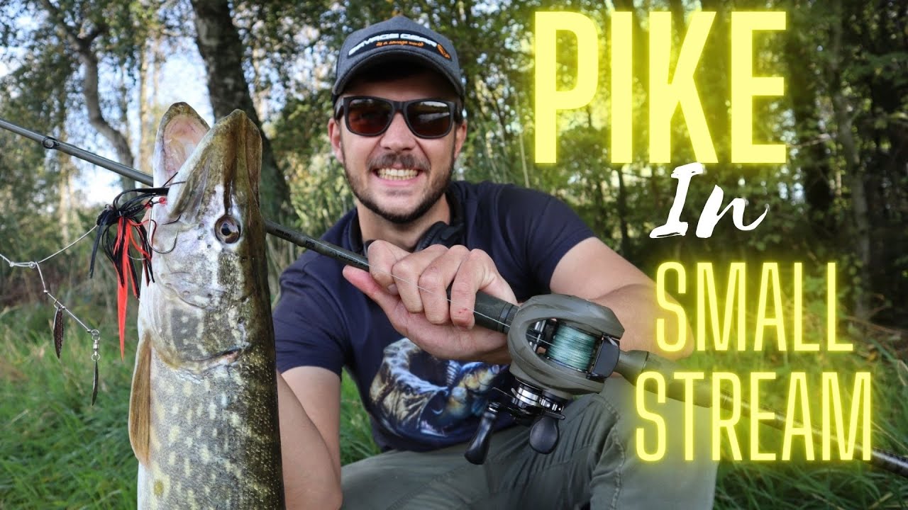 Snoekvissen op een klein riviertje met Spinnerbaits