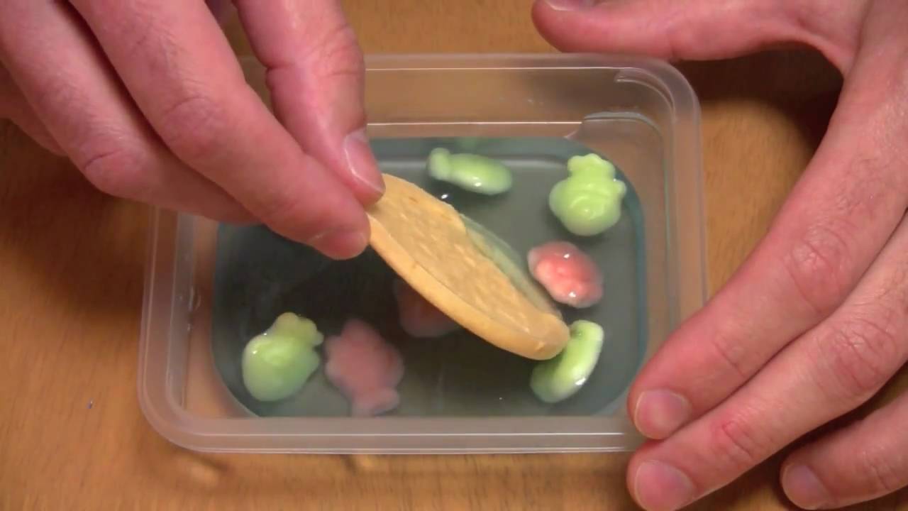 Candy Goldfish Game - 金魚すくいやさん