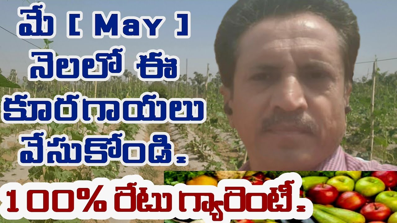 Summer Vegitable Cultivation || Vegitables In May Month || మే నెలలో కూరగాయల సాగు.
