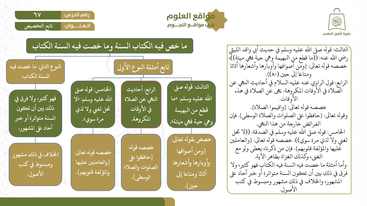٦٧ تابع التخصيص