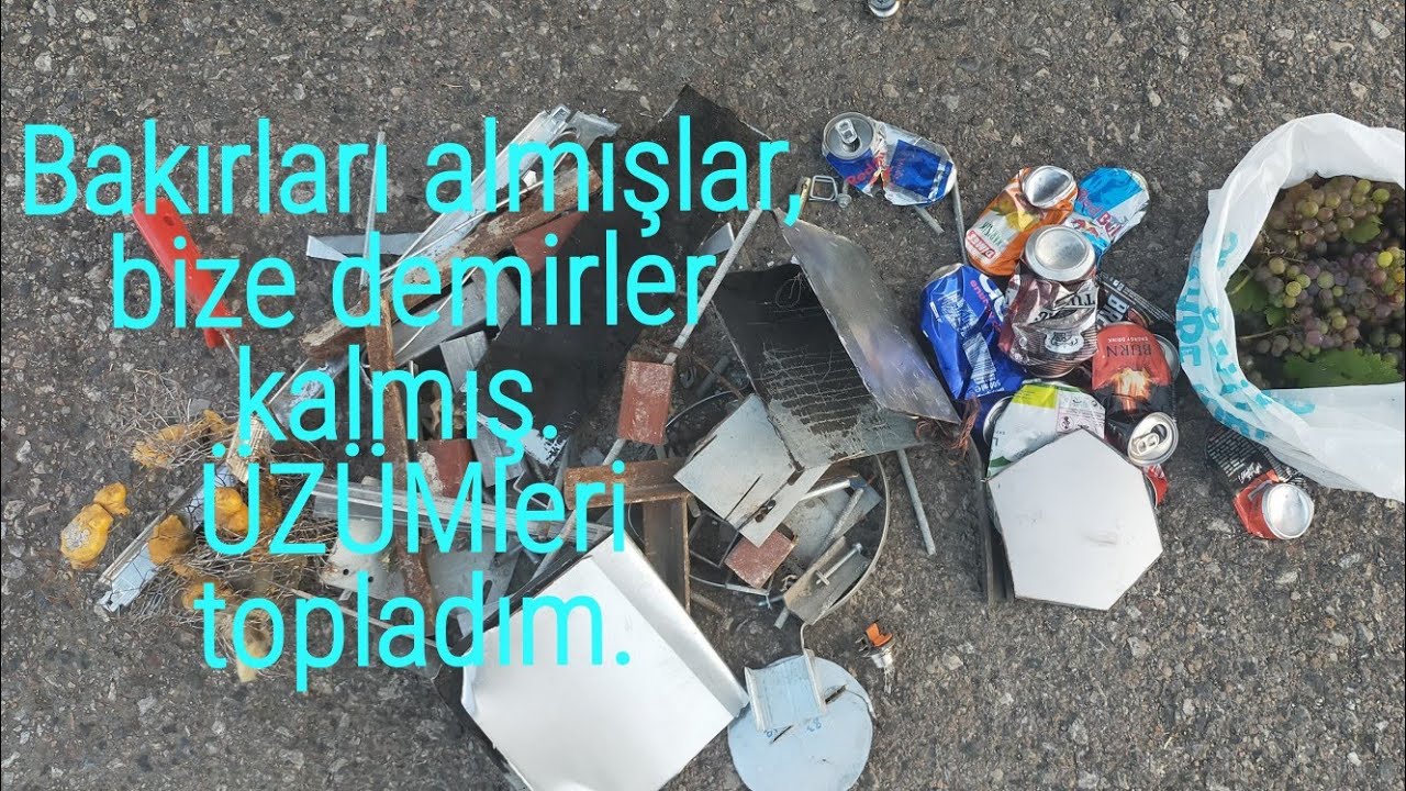 Bakırları almışlar, bize demirler kalmış, üzümleri topladım.