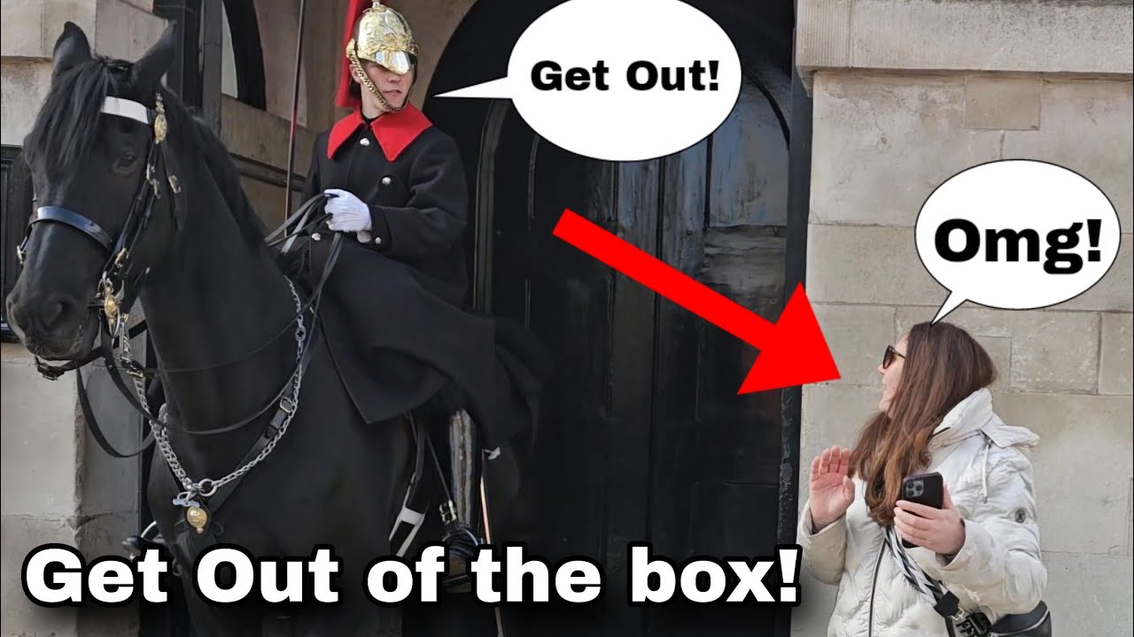 One of the BEST GUARD👏 She got told off twice to Get Out of the Box!