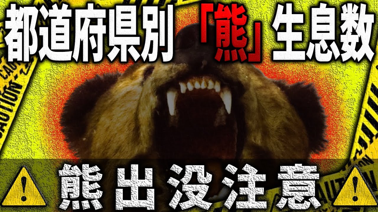【熊】熊は意外な場所にも生息していた&hellip; 都道府県別「熊」生息数マップ