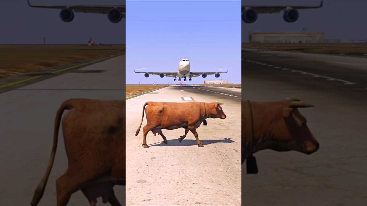 A Cow Gets Caught as an Aircraft Descends | Grand Theft Auto V ||