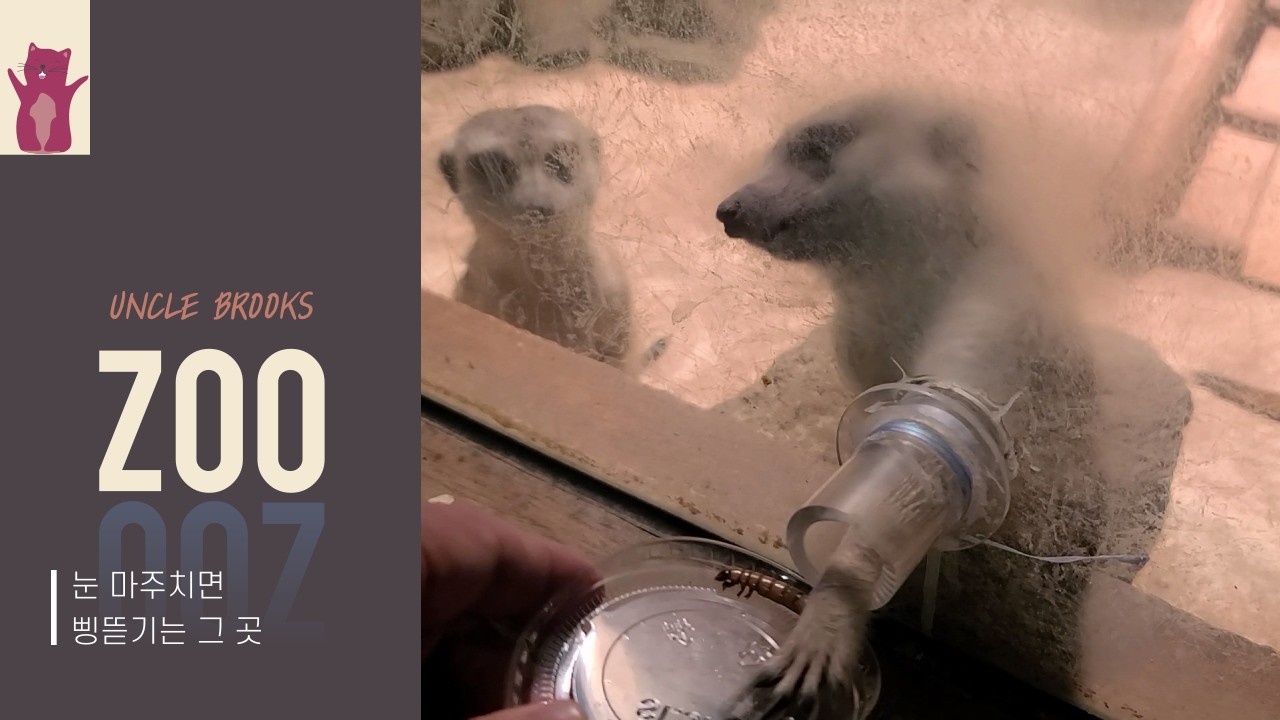 눈앞에서 먹이 주니 아이들이 정말 좋아하네요! 엉클브룩스 쥬 실내 나들이 🦝✨ | Animal Feeding at Uncle Brook's Zoo
