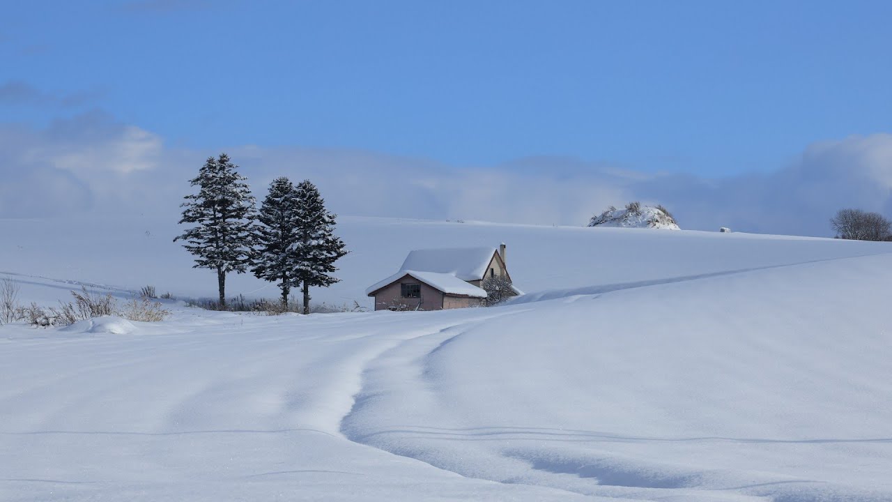 美瑛・富良野　雪景色　2025.01.18~19　北海道美瑛町・富良野市　めざせ楽々雪景色見学