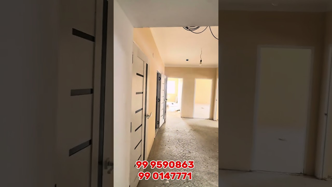 24 февраля 2026 г.