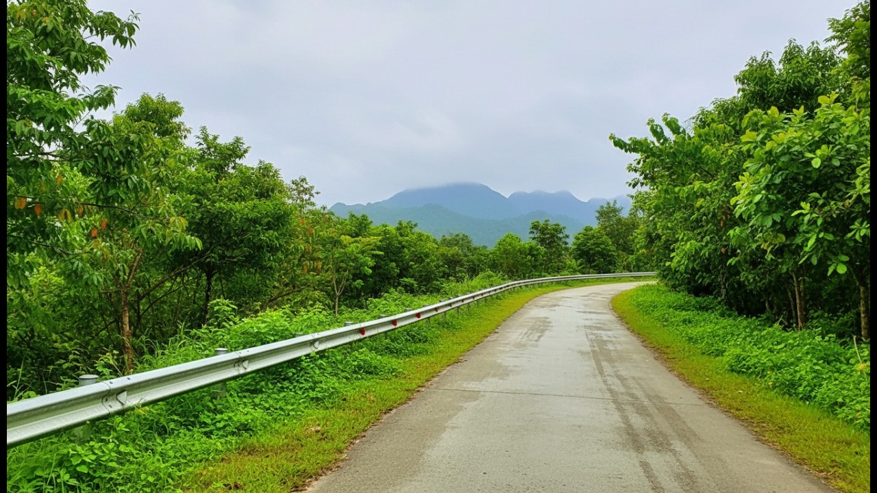 Discover the beautiful roads in Kim Boi district, Hoa Binh province, Vietnam  - Music included