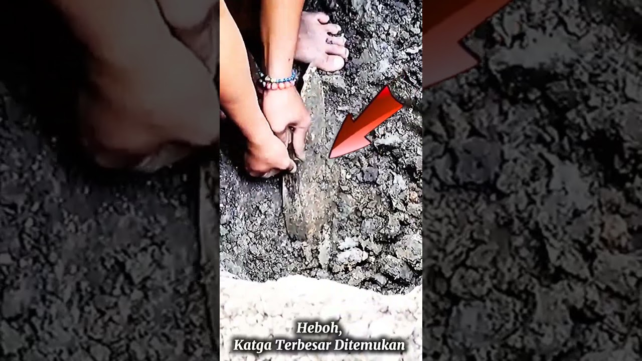 Heboh Pedang Naga puspa Ditemukan #shorts #pedang #pedangnagapuspa #nagapuspa #katga