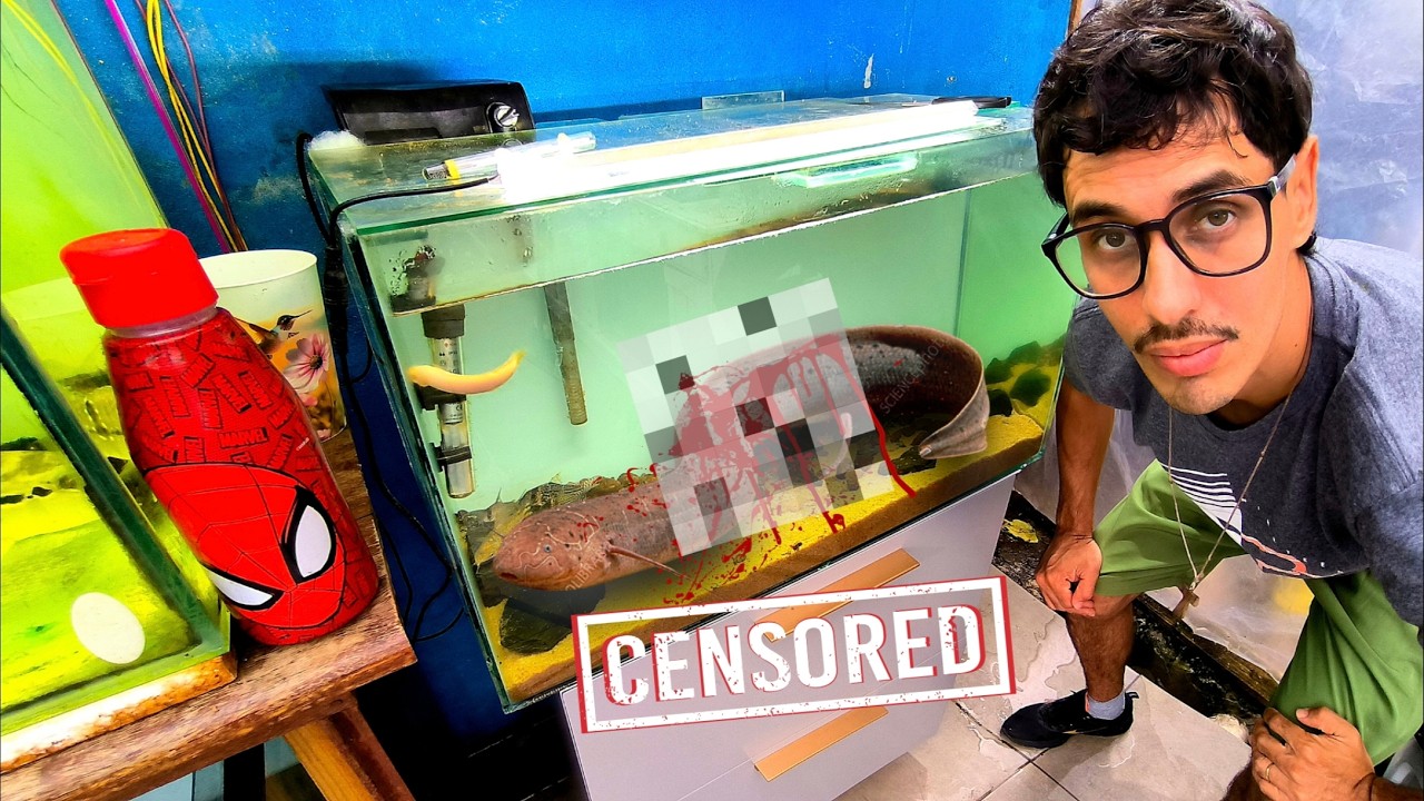 COMERAM MEU BEBÊ DE PEIXE DINOSSAURO PREDADOR