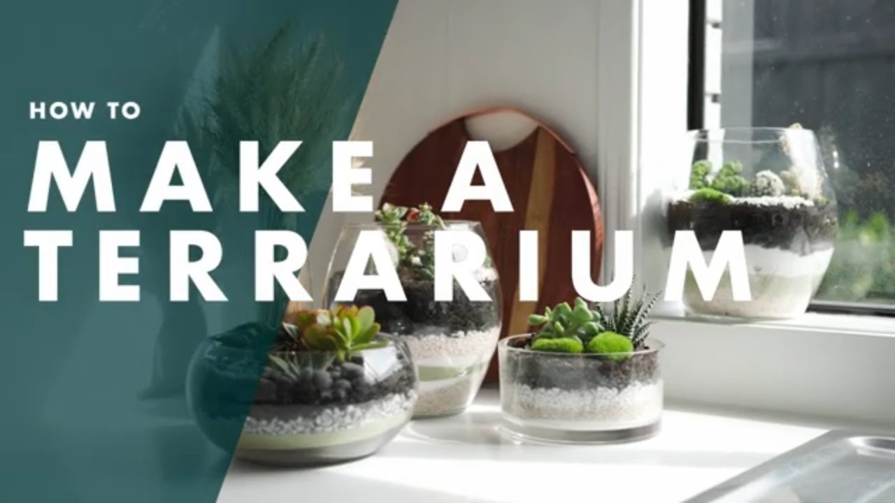 How To Make A Terrarium | Bunnings Warehouse