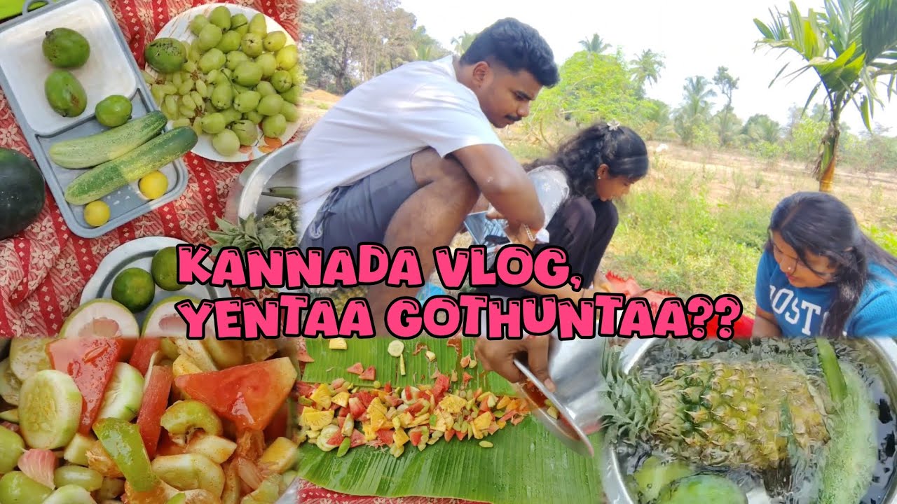 ಮೊದಲ ಕನ್ನಡ vlog ಹೇಗ್ ಅನಿಸ್ತು,❤️😁#babulizzvlogs#kannada#udupi#karnataka 