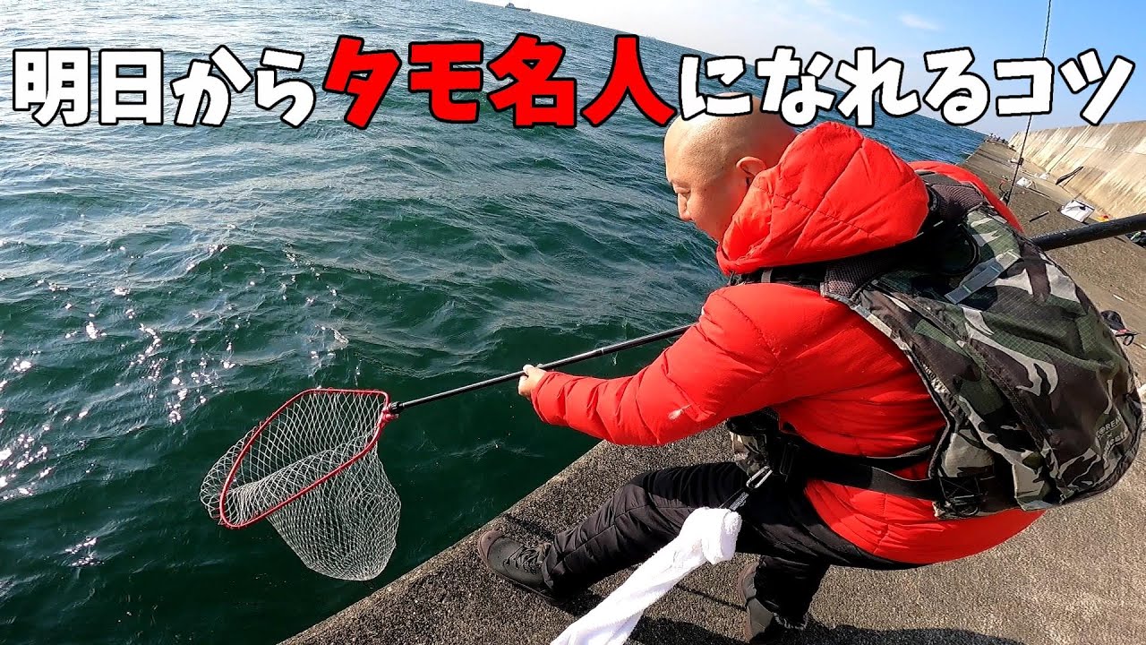 誰でも簡単にできるタモ入れのコツを教えます。