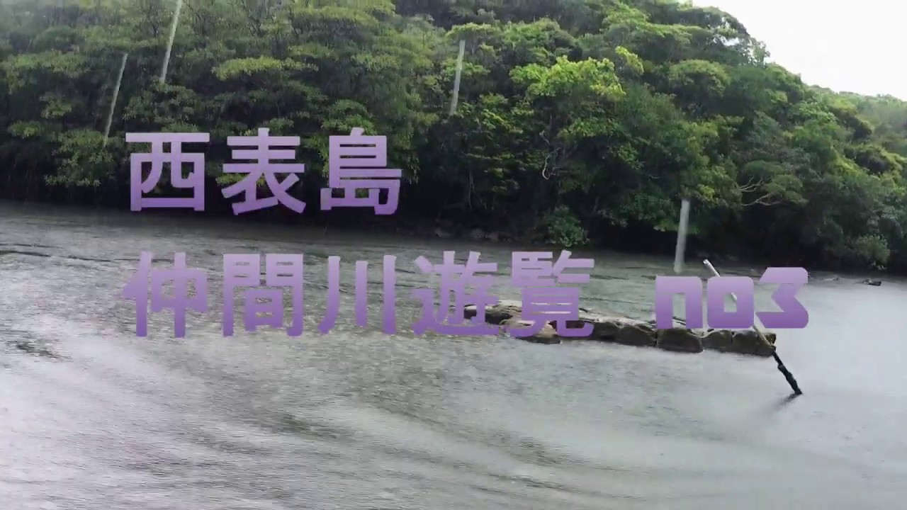 【西表島】　仲間川遊覧 No3