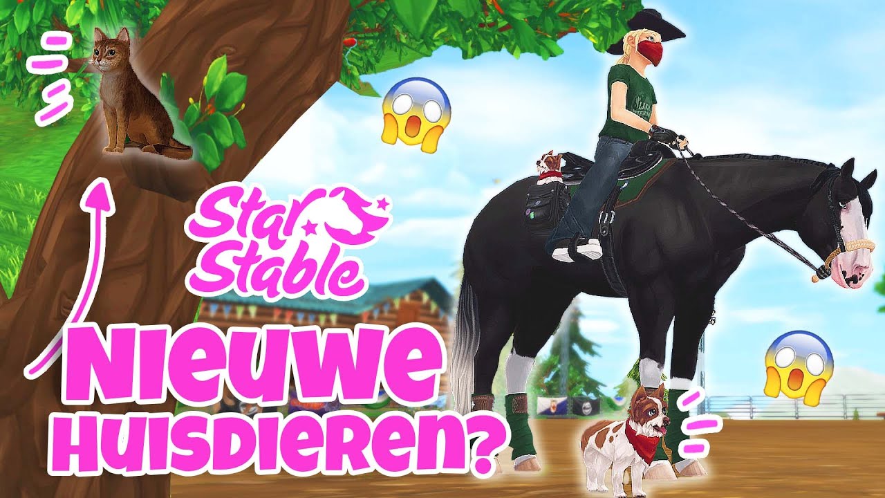 HOE KRIJG JE DE HUISDIEREN BIJ HET WESTERNKAMP? | SSO (nl) | wolfxjessy