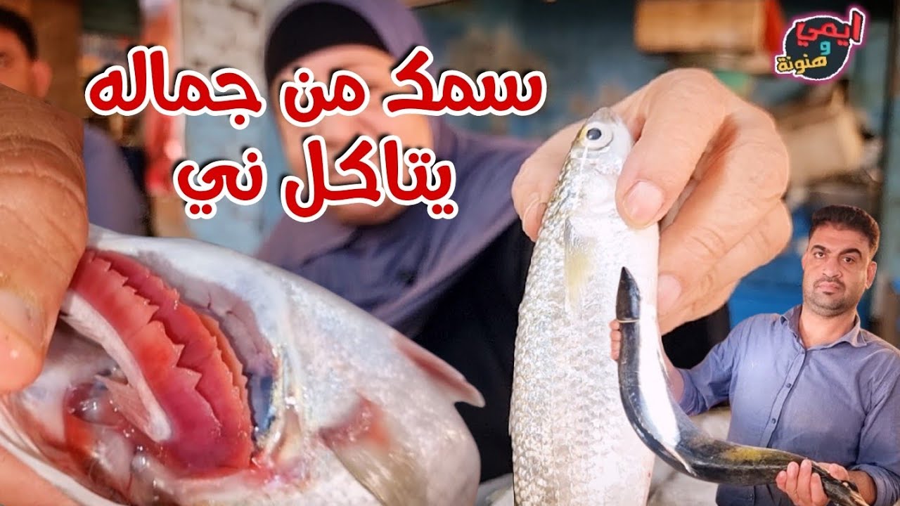اللي يقولك اجيبو منين سمك العمبك ؟ ابعتهولو 🐟🐟