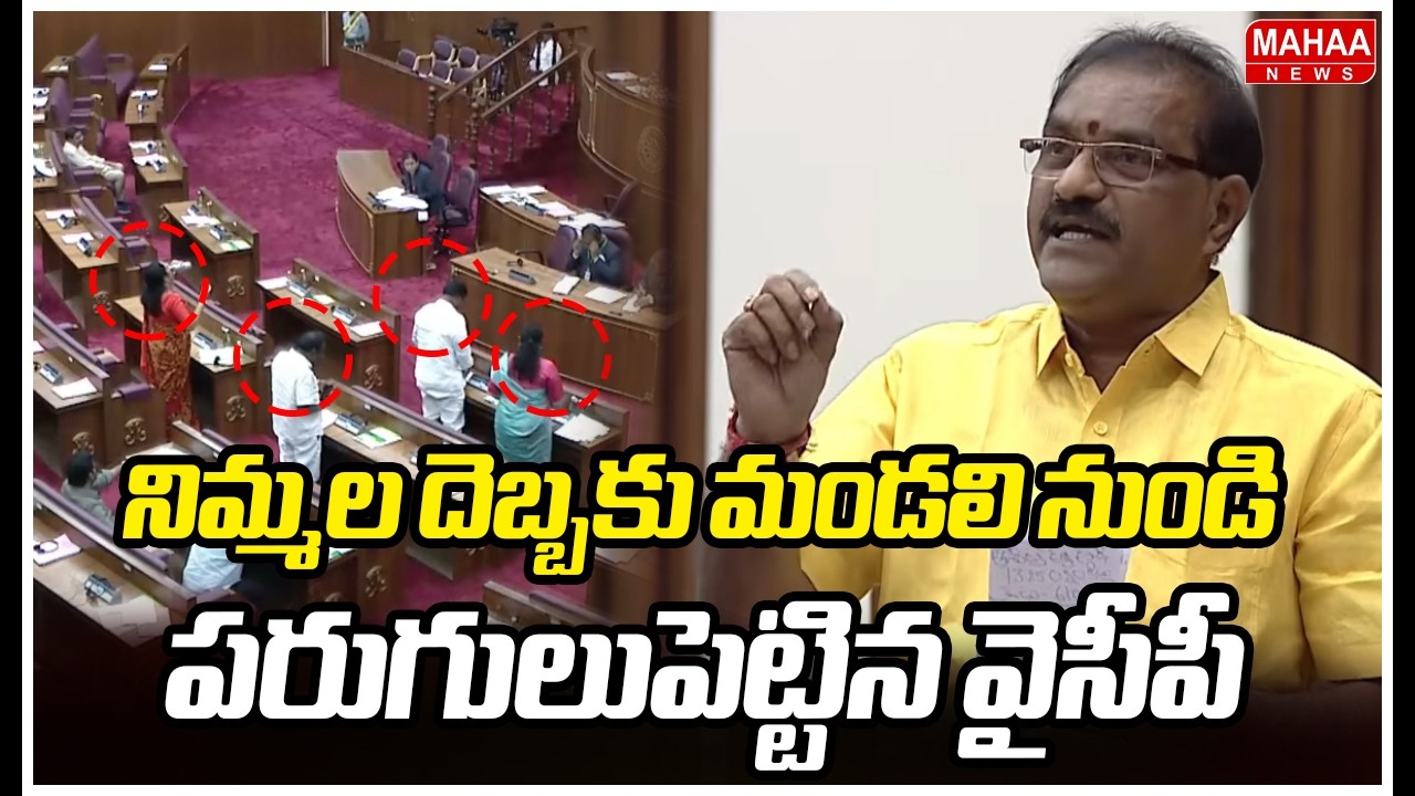 నిమ్మల దెబ్బకు మండలి నుండి పరుగులుపెట్టిన వైసీపీ | Minister Nimmala Ramanaidu Mass Speech